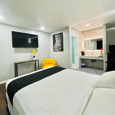 אל קאחון Hotel Villa Serena מראה חיצוני תמונה
