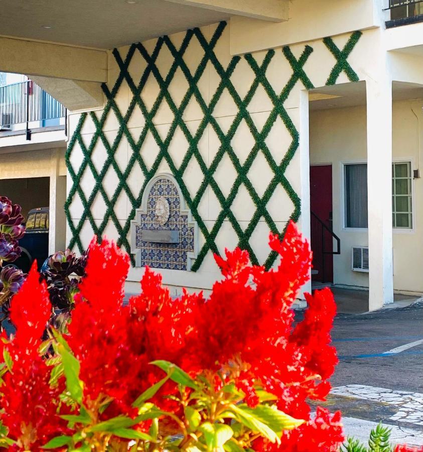 אל קאחון Hotel Villa Serena מראה חיצוני תמונה