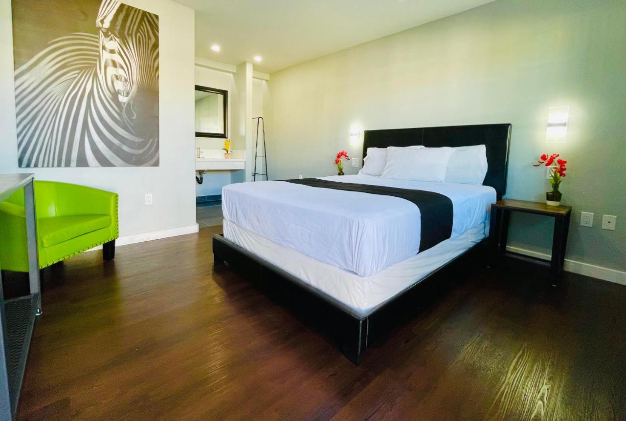 אל קאחון Hotel Villa Serena מראה חיצוני תמונה