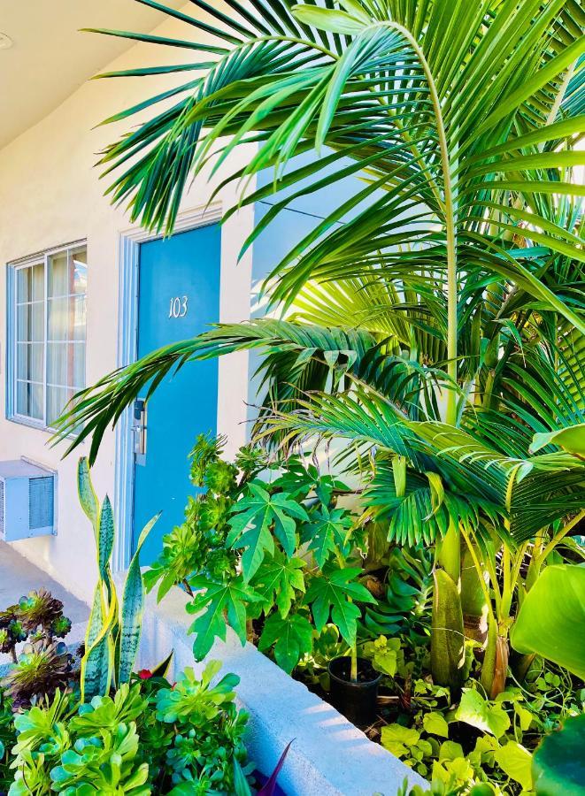 אל קאחון Hotel Villa Serena מראה חיצוני תמונה